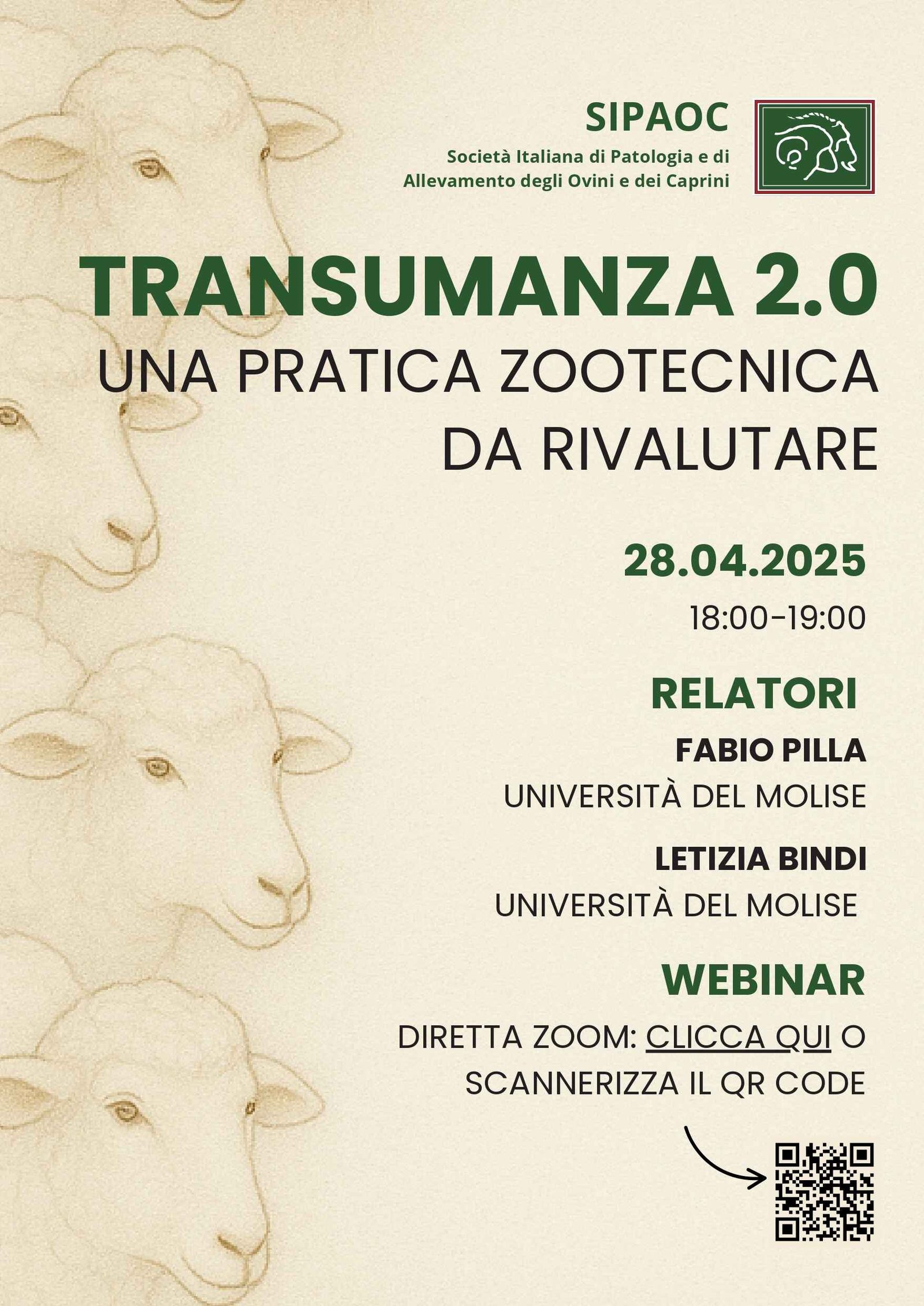 Transumanza 2.0: una pratica zootecnica da rivalutare